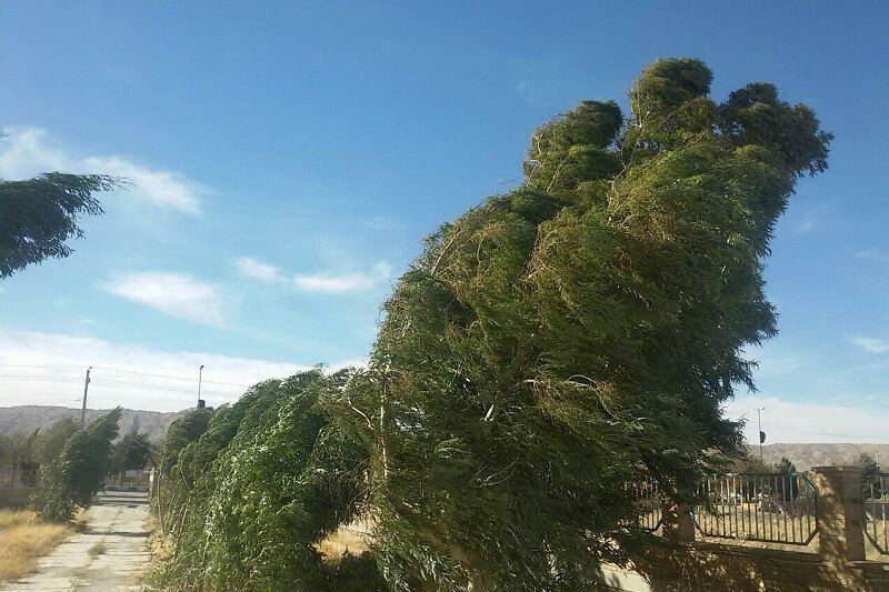 وزش باد‌های شمالی پدیده غالب در استان قزوین