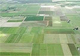 خرد شدن اراضی کشاورزی و ساخت و ساز بزرگترین مانع توسعه کشاورزی استان