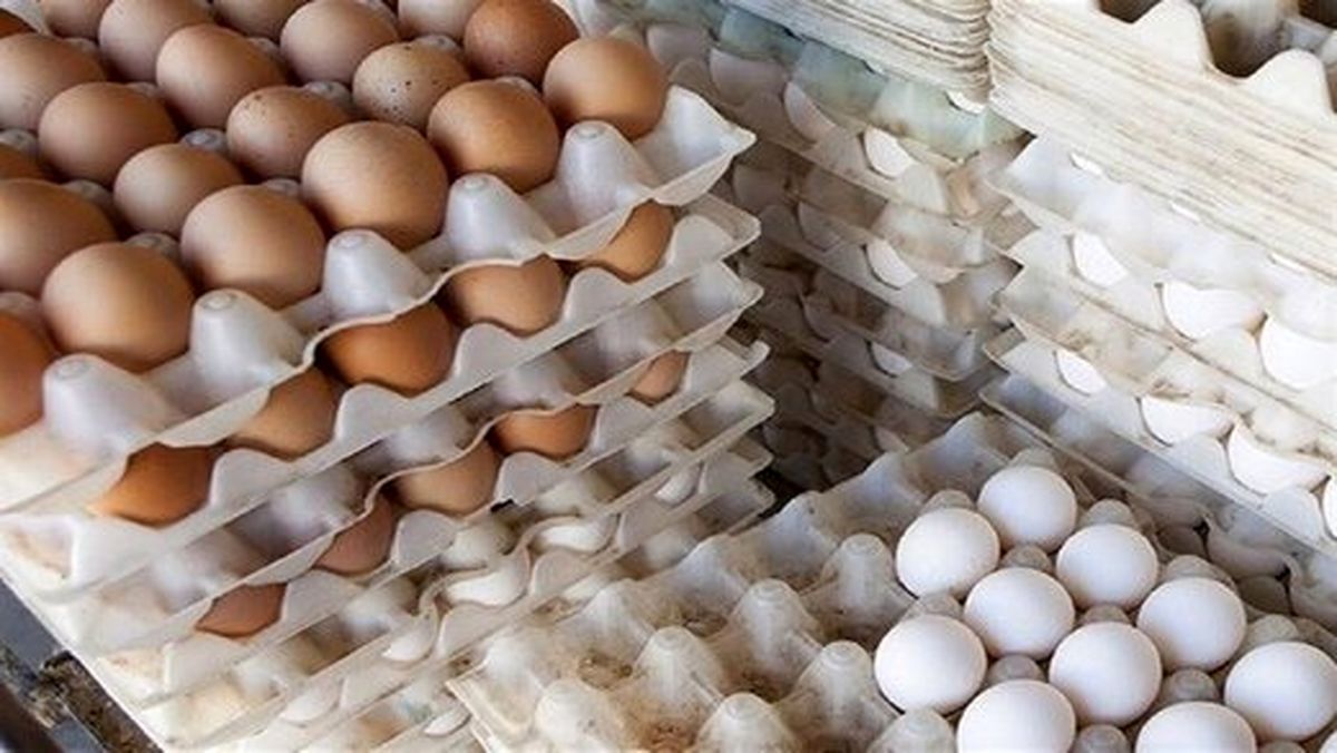 افزایش قیمت تخم مرغ به دلیل شوک حذف ارز ترجیحی!